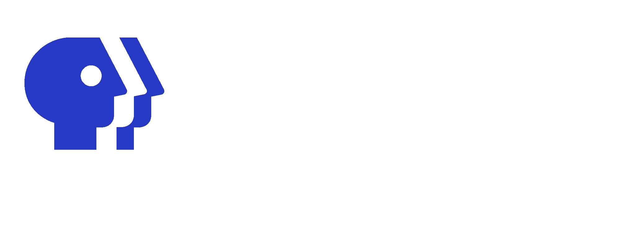 PBS Distribution (dev) logo